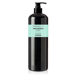 Відновлюючий шампунь для волосся Valmona Ayurvedic Scalp Solution Black Cumin Shampoo
